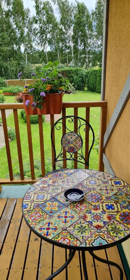 Ādaži Spacious House With Indoor Pool & Sauna. מראה חיצוני תמונה