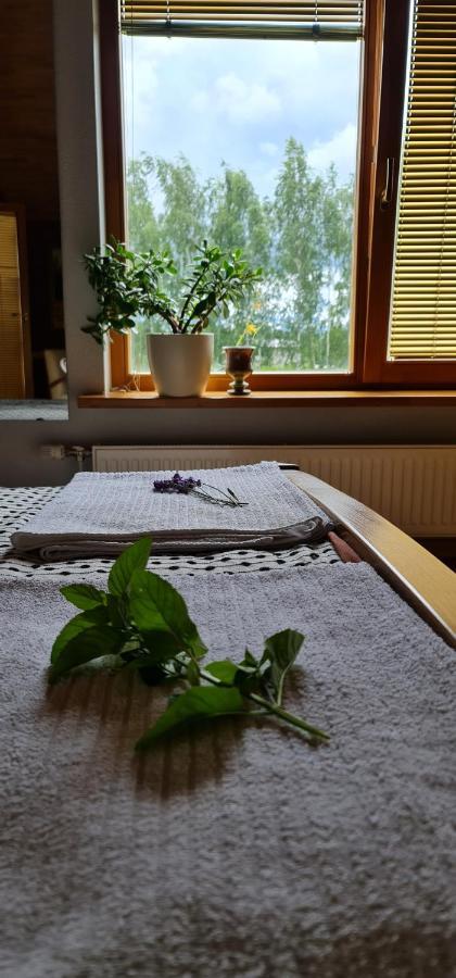Ādaži Spacious House With Indoor Pool & Sauna. מראה חיצוני תמונה